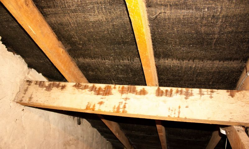 Ceiling Leak Repair Service in Charleston, SC