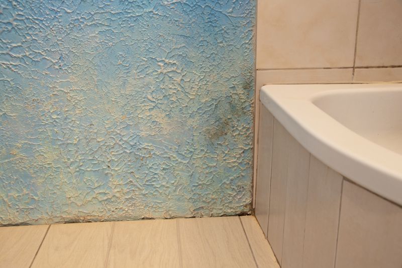 Water Damage Ceiling Repair in Santa Rosa, CA